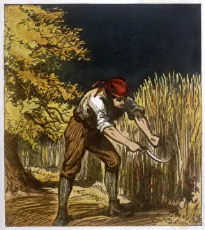 Wheat Prints: 19th Century Reaper