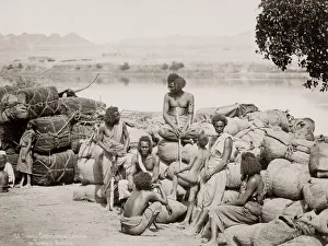 Conveyance Gallery: 19th century vintage photograph: Bichari, Bishari desert guides - used to guide camel