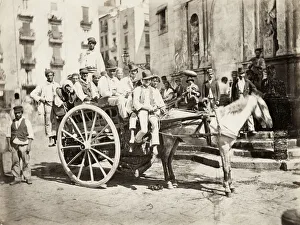 19th century vintage photograph: horse and cart, passenger carriage, hackney 19th century vintage photograph: horse and cart, passenger carriage, hackney