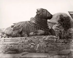 19th century vintage photograph India - Chamundi Hill stone bull, Mysore 19th century vintage photograph India - Chamundi Hill stone bull, Mysore