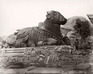 Topography Prints: 19th century vintage photograph India - Chamundi Hill stone bull, Mysore