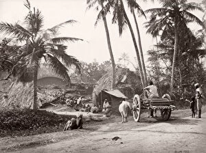 19th century vintage photograph India - village life in Bengal, Samuel Bourne, 1860s