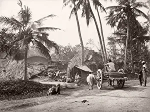 19th century vintage photograph India - village life in Bengal, Samuel Bourne, 1860s 19th century vintage photograph India - village life in Bengal, Samuel Bourne, 1860s