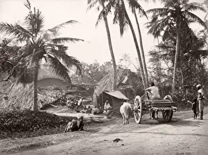 Topography Prints: 19th century vintage photograph India - village life in Bengal, Samuel Bourne, 1860s