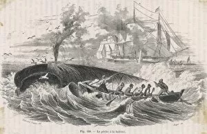 Waves Gallery: 19th Century Whaling