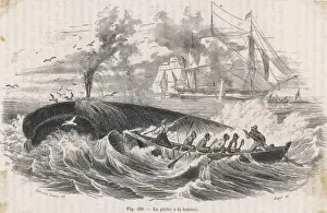 Waves Prints: 19th Century Whaling
