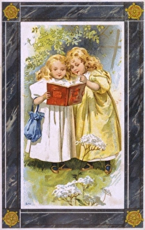 Images Dated 24th August 2012: 2 Read in Garden