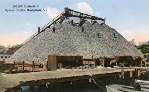 200, 000 bushels of Oyster Shells, Hampton, Virginia, USA