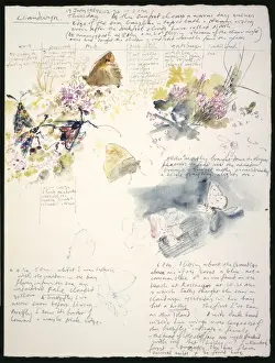 20th Century Art: Wildlife sketch no. 32, by David Measures