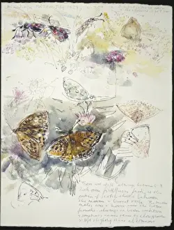 20th Century Art: Wildlife sketch no. 35, by David Measures