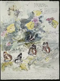 20th Century Art: Wildlife sketch no. 39, by David Measures