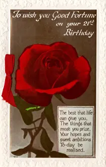 Birthdays Prints: 21st birthday card with a single red rose