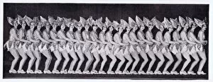 Appearing Gallery: The 24 Mangan-Tillerettes - an English dancing