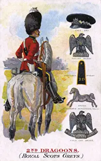 Shoulder Prints: 2nd Dragoons - Royal Scots Greys - Insignia