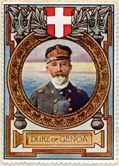 Alberto Gallery: 2nd Duke of Genoa / Stamp