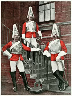 Plumes Collection: 2nd Regiment of Life Guards