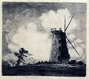 Brow Prints: The Mill