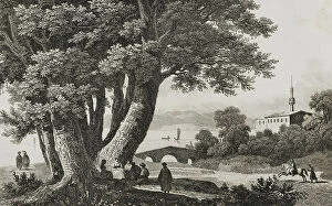 Crusades Collection: 40 plane trees of Godfrey of Bouillon. Prairie of Buyukdere