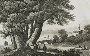 Bosphorus Prints: 40 plane trees of Godfrey of Bouillon. Prairie of Buyukdere