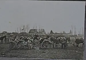 43 snapshots, taken in France, by a German artilleryman
