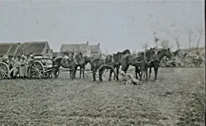 43 snapshots, taken in France, by a German artilleryman