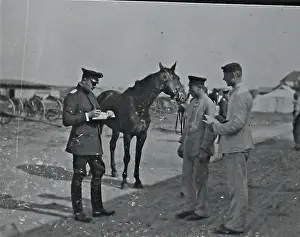 43 snapshots, taken in France, by a German artilleryman