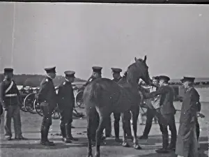 43 snapshots, taken in France, by a German artilleryman