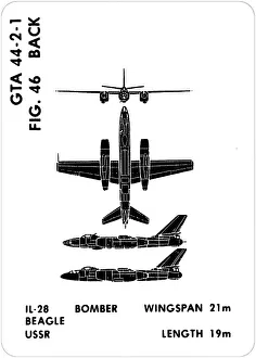 46 a IL-28 Beagle