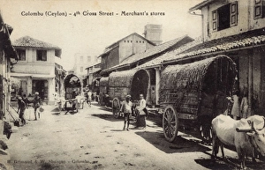 Images Dated 26th October 2016: 4th Cross Street, Pettah, Colombo, Ceylon (Sri Lanka)