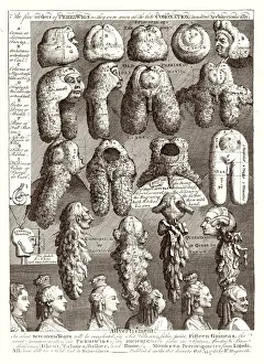 5 Orders of Periwigs