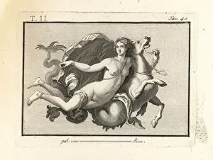 Antichità Gallery: One of the 50 daughters of Nereus mounted on a sea monster