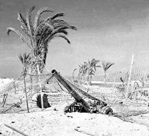 Camouflaged Prints: 60-pounder artillery gun