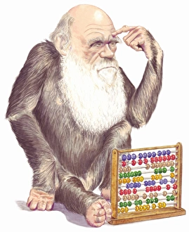 Haplorhini Gallery: 99% Ape
