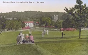 Belmont Prints: 9th Green - Belmont Manor Golf Course, Bermuda