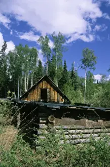 Taiga Prints: Abandoned hut of a forest keeper on river Negustyah