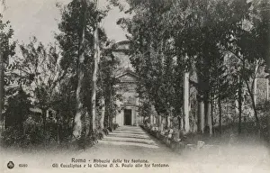 Eucalyptus Prints: Abbey of the three Fountains Rome