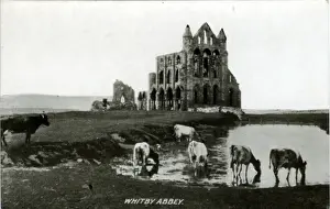 The Abbey, Whitby, Yorkshire