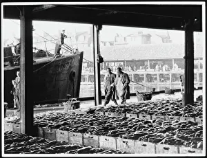 Aberdeen Fish Market