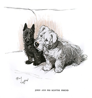 Aberdeen terrier and Sealyham terrier sitting on a sofa