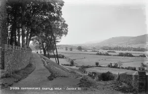 Tranquility Prints: Abergavenny Castle Walk