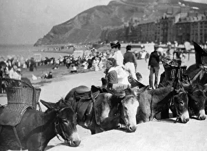 Aberystwyth donkeys on the beach, Wales