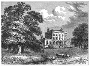 Arboretum Collection: Abney House