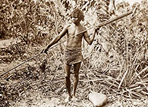 Aborigine throwing spear with a womerah Australia