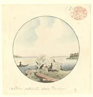 Aborigines returned from fishing