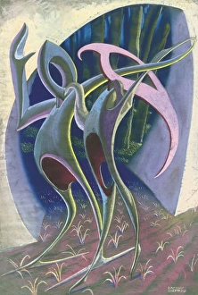 Images Dated 21st December 2011: Abstract design with bird shapes