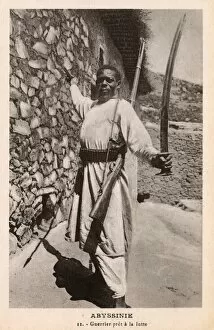 Abyssinian Gallery: Abyssinian Warrior - ready to fight