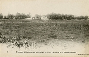 Abziza Gallery: Abziza Field. B鮩-Mered, Algeria