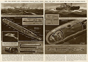 Acoustic Gallery: Acoustic torpedoes by G. H. Davis