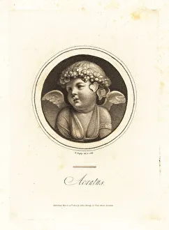 Richard Dagley Prints: Acratus, a winged Bacchus with myrtle, ivy and rosebud crown