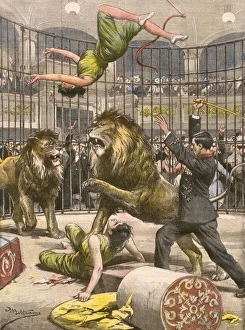 Images Dated 20th April 2011: Acrobats Falls / Lion Cage